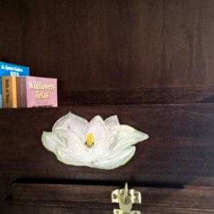 New bookshelf with magnolia decoration