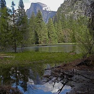 reflection in Merced river