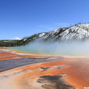 Grand Prismatic from the boardwalk