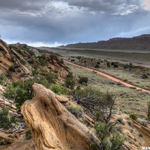 Eroded layers of the Waterpocket Fold