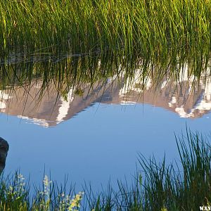 Dunderberg Peak Reflection