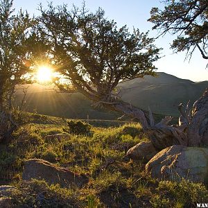 Sunrise Jefferson Summit