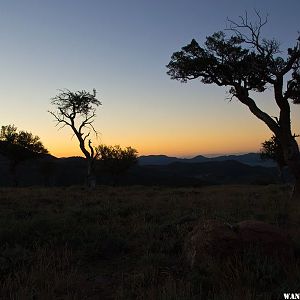 Pre Dawn Glow