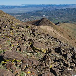 Mount Jefferson's South Ridge