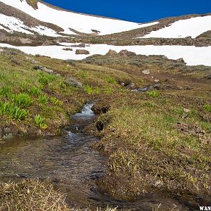 Above Tree Line