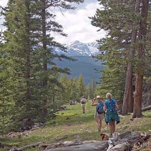 Trail near Vance's Cabin