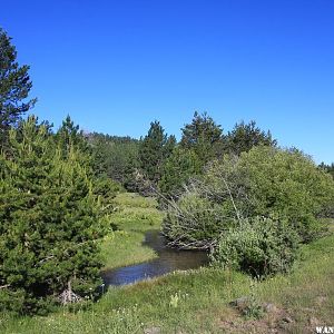 The Creek Running Through Camp