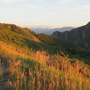 North Rim Black Cyn of the Gunnison