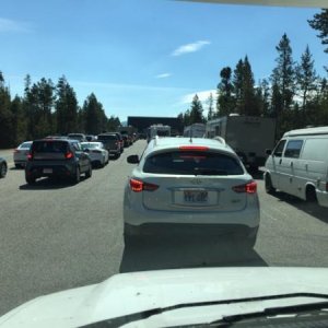 Harvey the RV waiting to get into Yellowstone from the West entrance