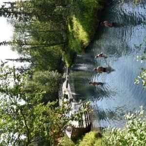 The hot springs pool is improved a bit - there are dressing rooms and stairs.  Water temperatures are hotter upstream, and cooler (but not cool) downs