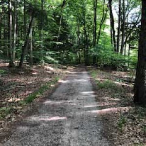 Hoffmaster State Park Campground July 12, 2020
One of the very few trails we found around the Hoffmaster Campground.