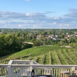 Located in South Cambridge Georgetown Tavern on the Hill Winery. Worth the trip! great views, great wines and brick oven food. About 9 miles west of S