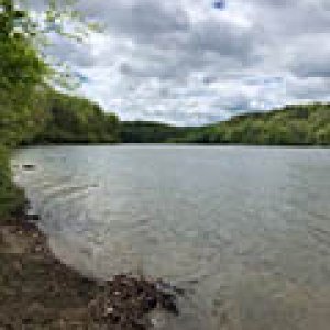 Salt Fork Lake view from campground sec F trail access