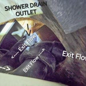 Shower Drain -> P-Trap -> exit flow