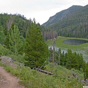 Cub Lake on a Rainy Day