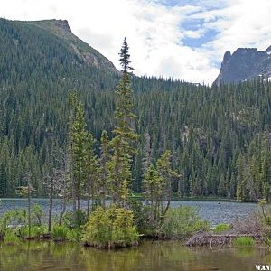 Fern Lake