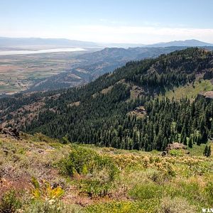 Surprise Valley, Middle Alkali Lake, South Warners