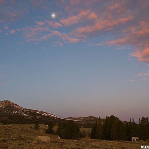 Moon at Dawn