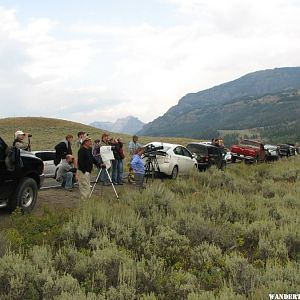 Watching wolves in Lamar Valley