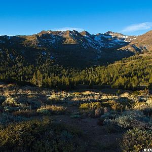 Sonora Pass Morning Light