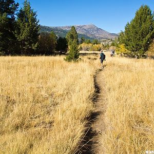 Leavitt Meadows