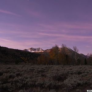 Pre Dawn Light