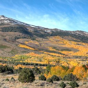 Upper Summers Meadows Fall Glory