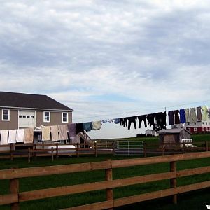 41 Wash day in Lancaster Co. (1024x629).jpg