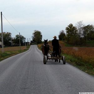 42 Amish Flatbed (1024x894).jpg