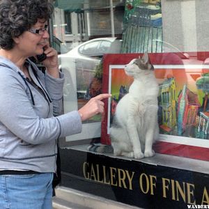 84 Veronica and cat in the window (1024x768).jpg