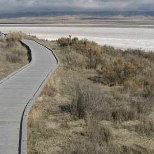 Lakeside walkway