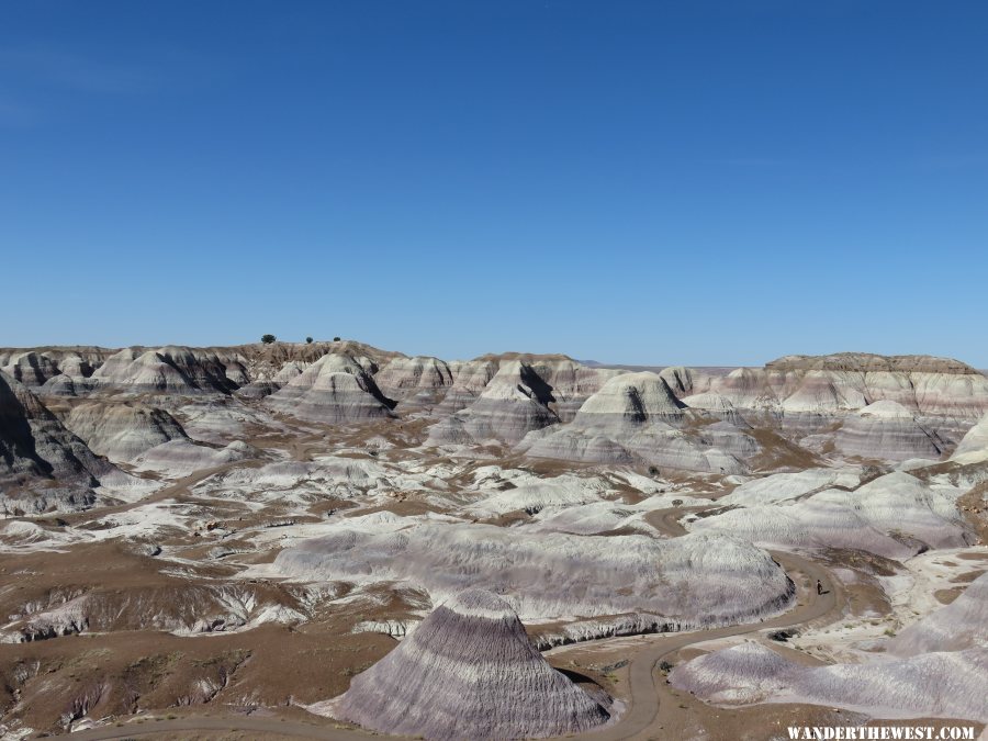 '16 W25 AZ, PETRIFIED FOREST NP VW