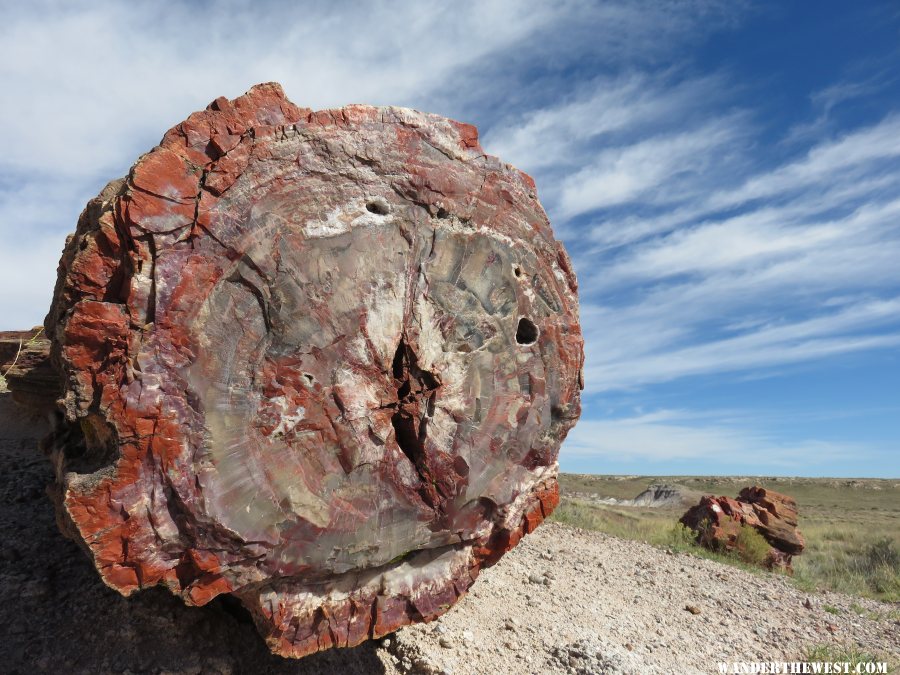 '16 W63 AZ, PETRIFIED FOREST NP