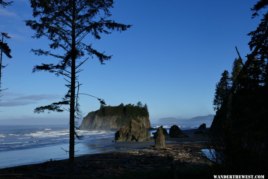 '17 H49 WA OLY NP RUBY BCH