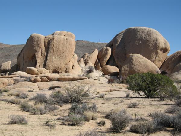 185 Joshua Tree Park