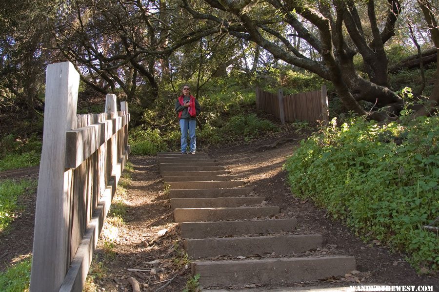 1906 Earthquake Offset Fence