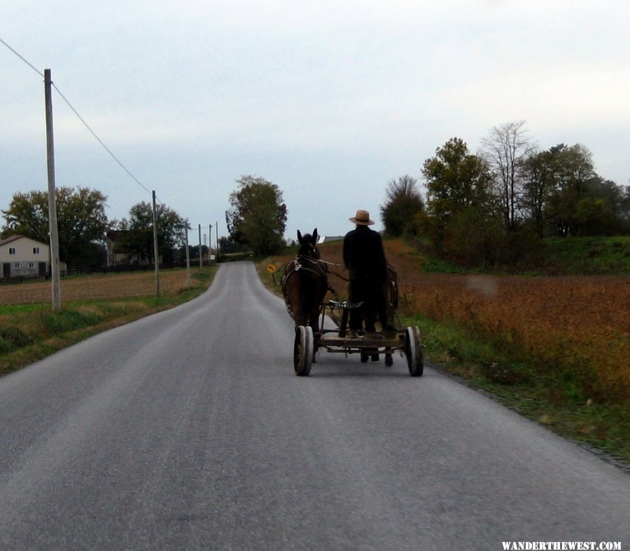 42 Amish Flatbed (1024x894).jpg