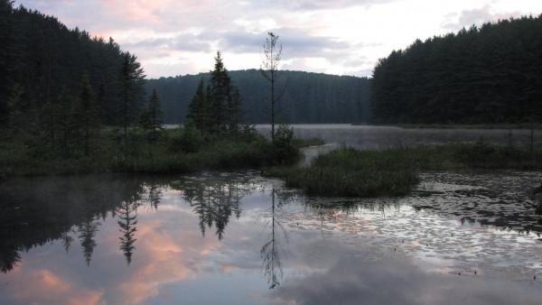 879 Pog Lake Algonquin Park Ont.