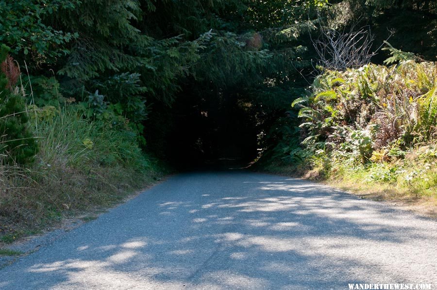 A living tunnel