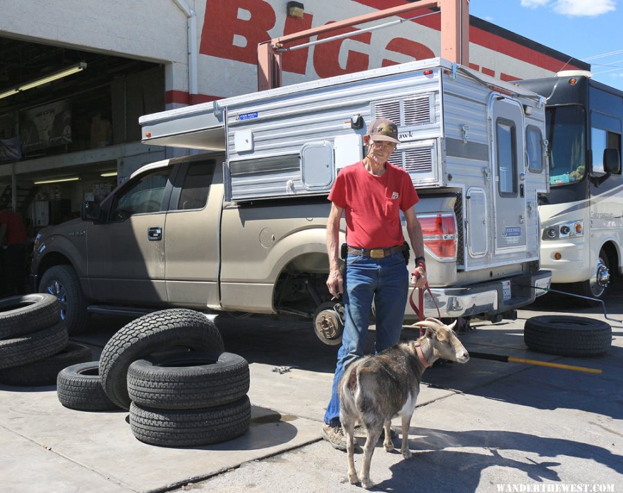 A Man, a Goat and a FWC