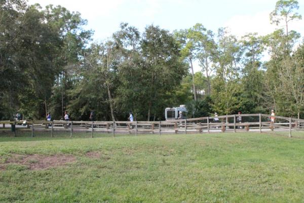 a segway tour passes by the dog park