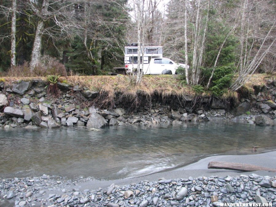 A site right on the Hoh River