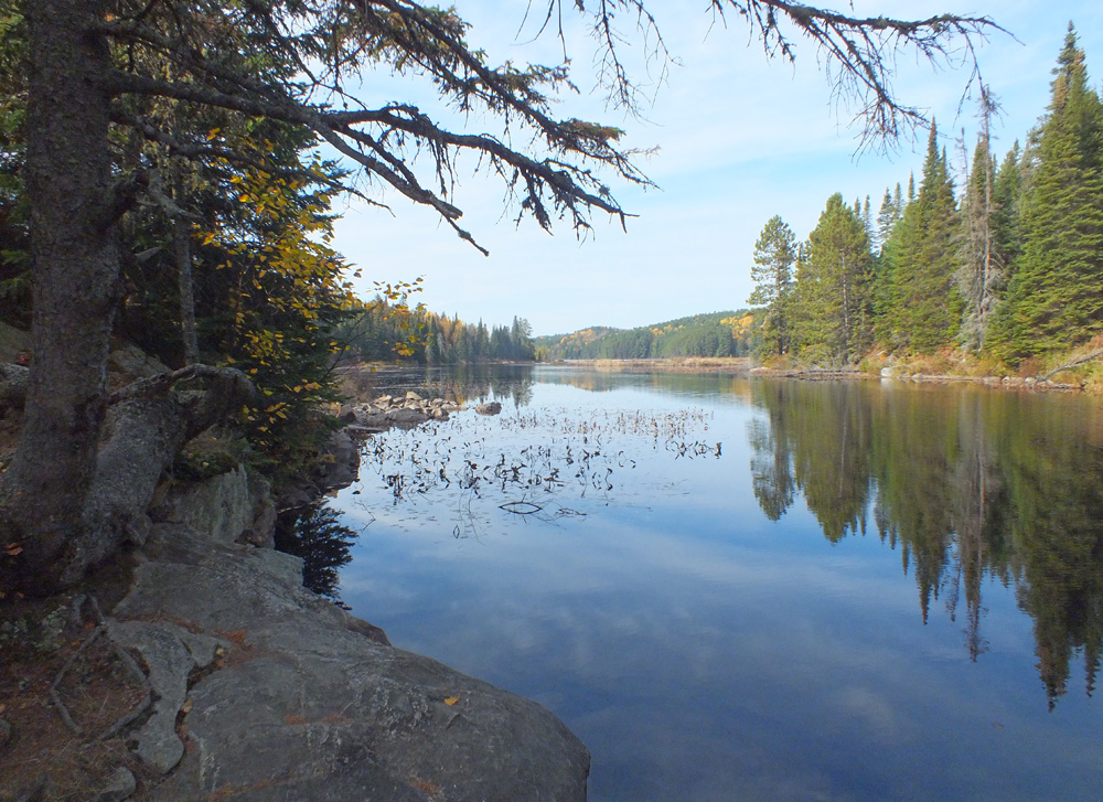 Algonquin Park