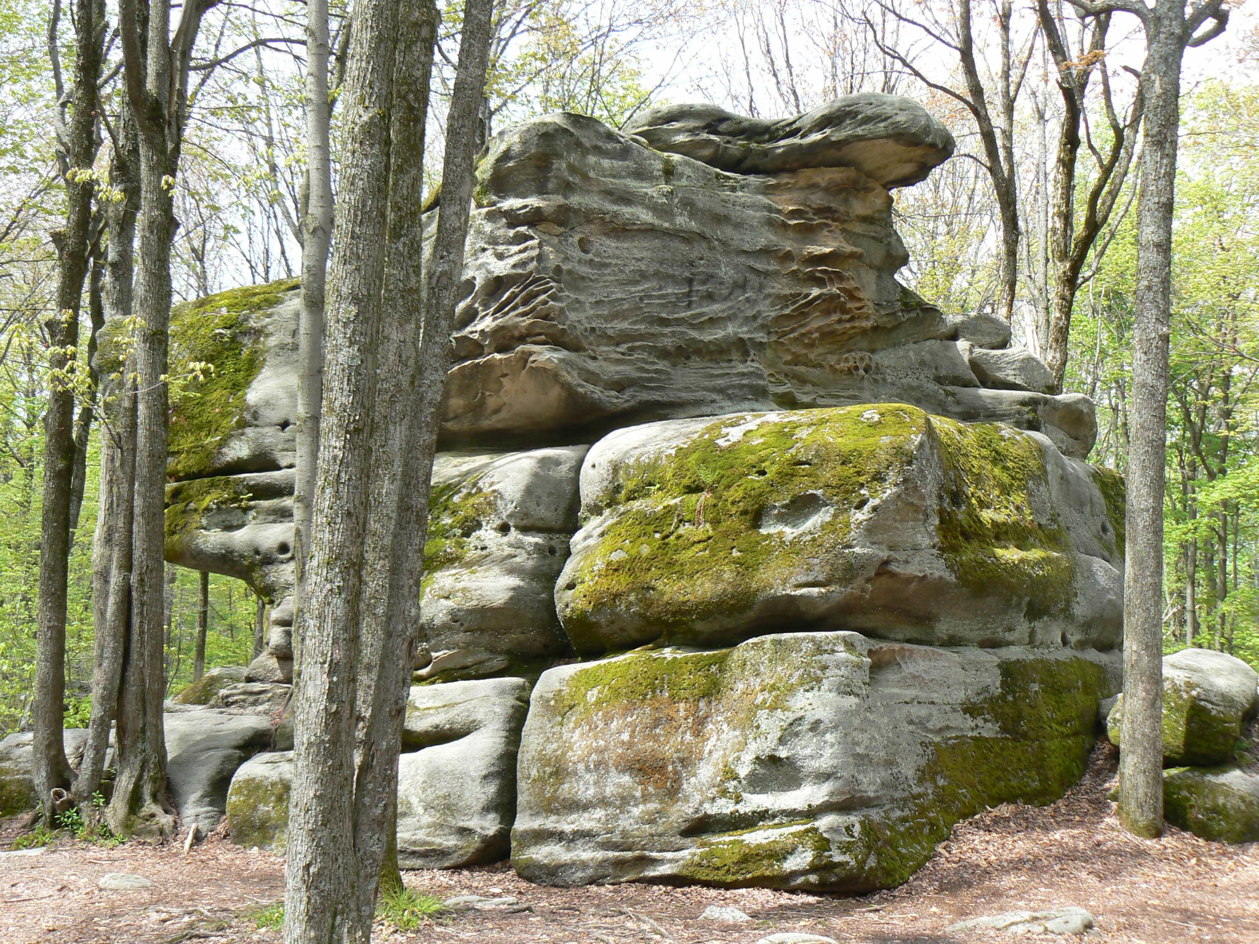 Allegany State Park