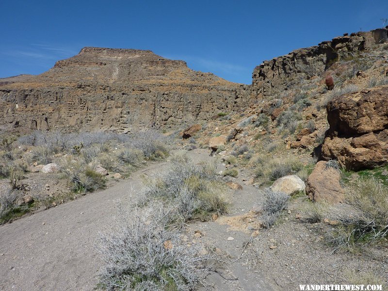 Along the Rings Loop Trail