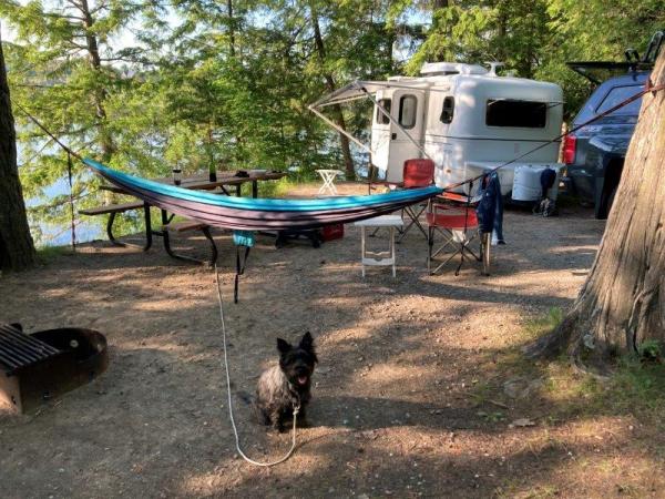 Another campsite on the shore. Tiller keeps the campsites chipmunk free.