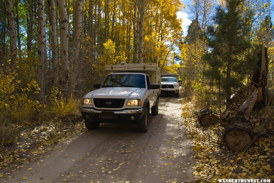 ATC Searching for Fall Colors