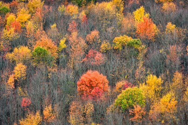 Autumn in central PA