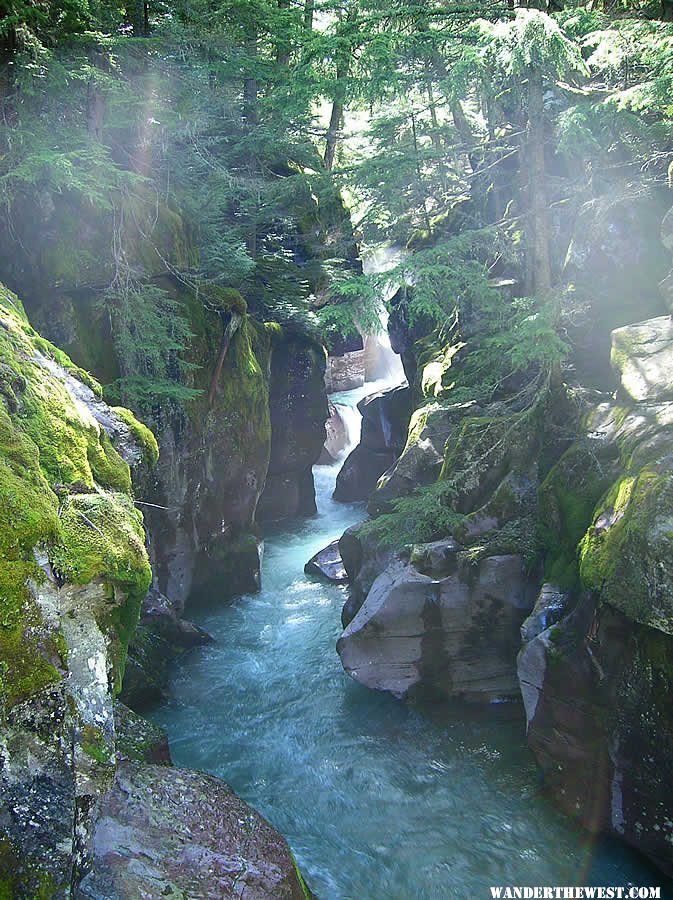 Avalanche Creek - Glacier National Park - Courtesy of Wikipedia