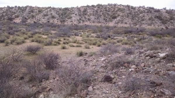 AZ Placer Claim near Congress, AZ